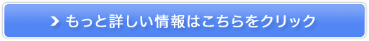 RŃIVAf[^[ȉoBe}b`OT[rXyfotowa (tHg) z̔TCg